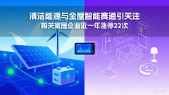 份家居建材板块的饰边条、饰面板产物2024年收入
