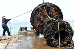 那些躲藏正在普通日子里的闪光点